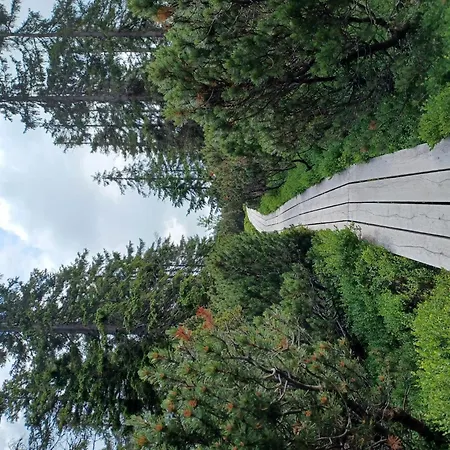 Happy By Interhome * 切尔尼杜尔