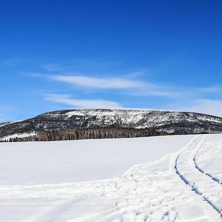 Happy By Interhome Černý Důl