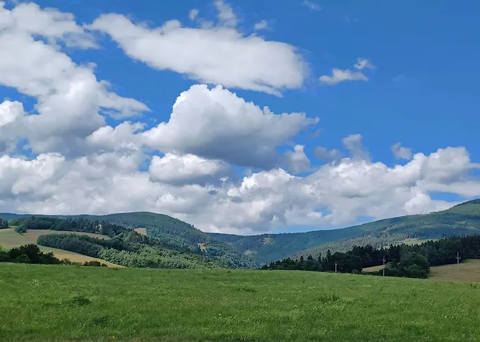 Lägenhet Happy By Interhome Černý Dŭl