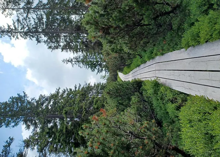 Happy By Interhome * Černý Dŭl